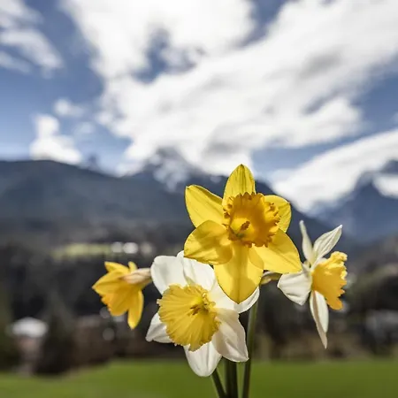 Bergbauernhof Schoberlehen * بيسخوفسويسن