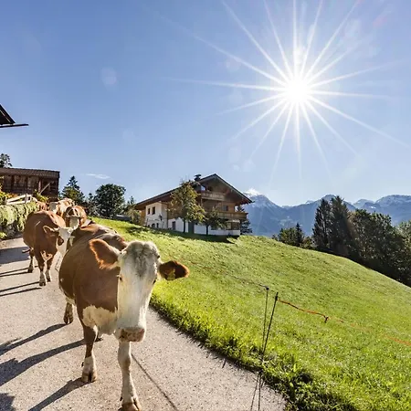 Bergbauernhof Schoberlehen *