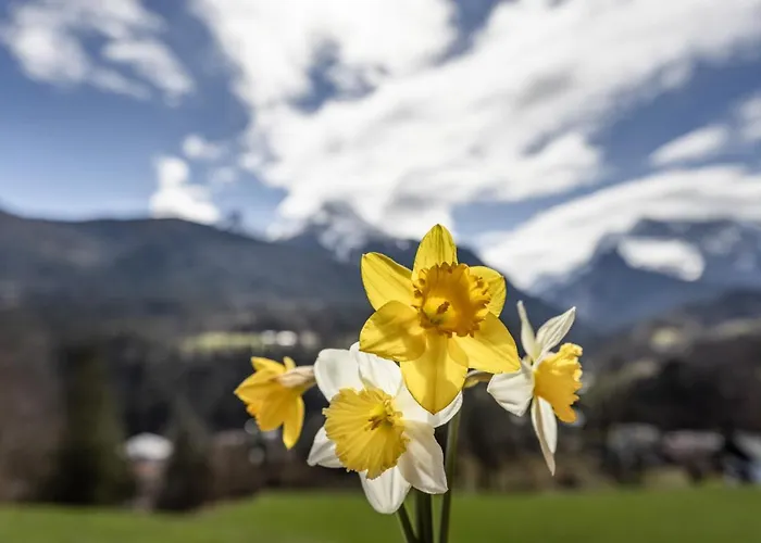 Bergbauernhof Schoberlehen * Bischofswiesen